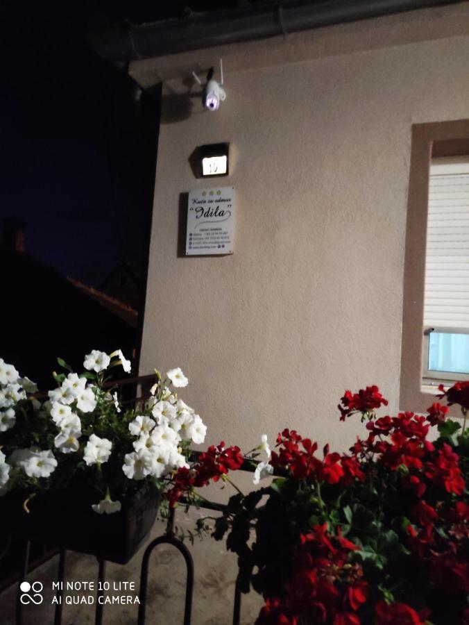 Kuca Vila Idila Vrsac Esterno foto